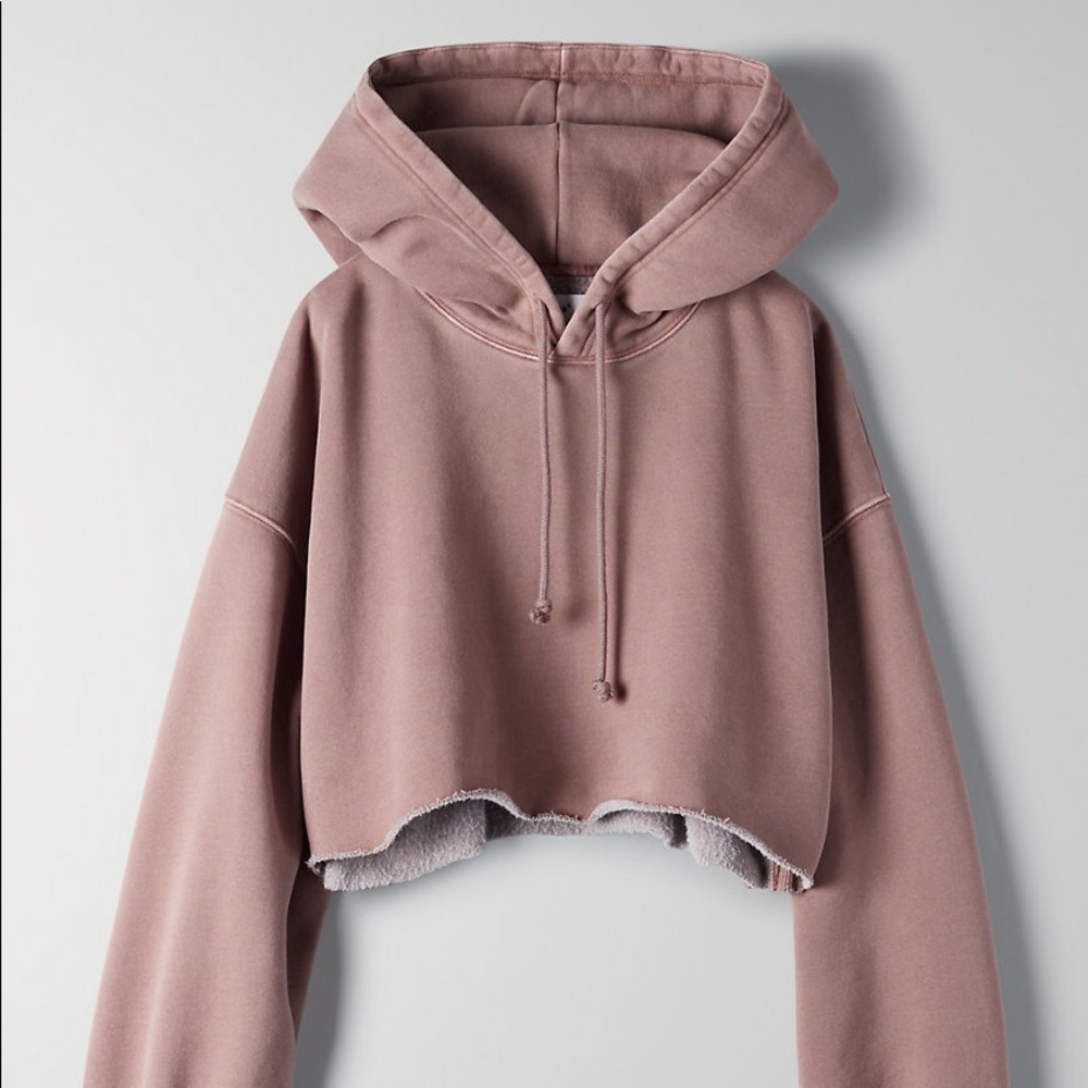WORN ONCE Tna | Boyfriend Crop Hoodie GD Shd Mauve